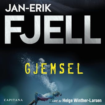 Gjemsel - Jan-Erik Fjell