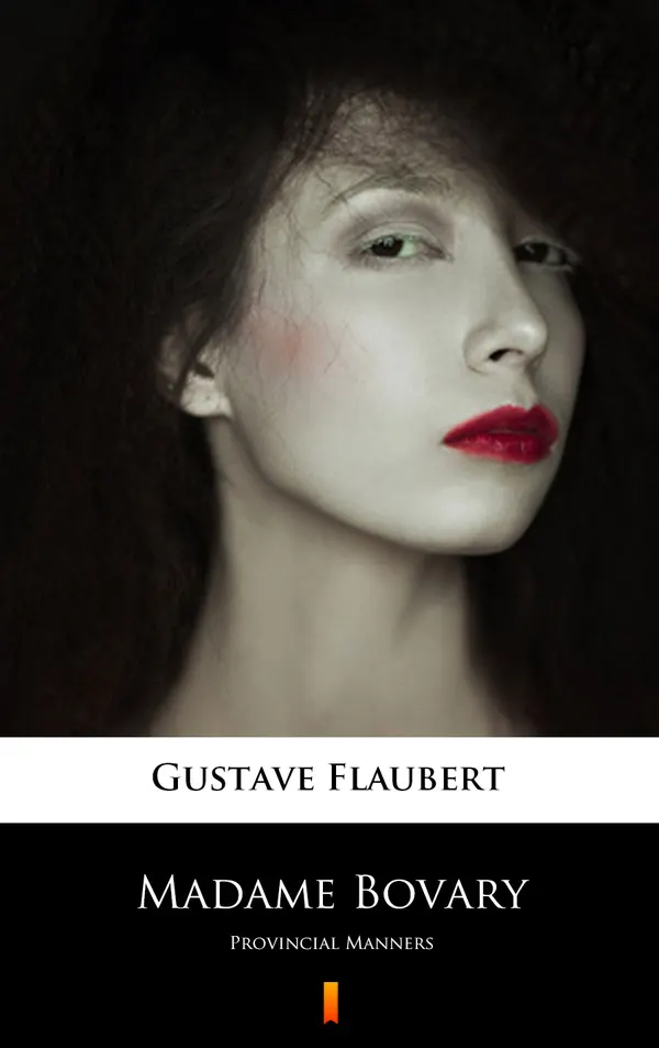 Madame Bovary : Provincial Manners