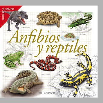 Anfibios y reptiles - Maria Àngels Julivert