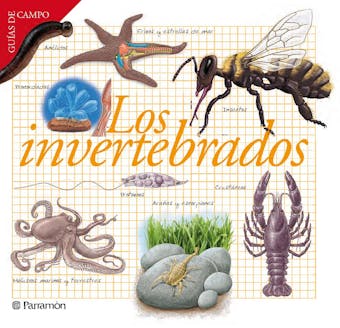 Los invertebrados - Josep Maria Barres