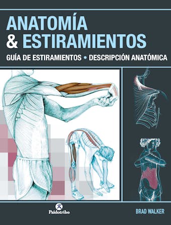 Anatomía & Estiramientos: Guía de estiramientos. Descripción anatómica  (Color) - Brad Walker