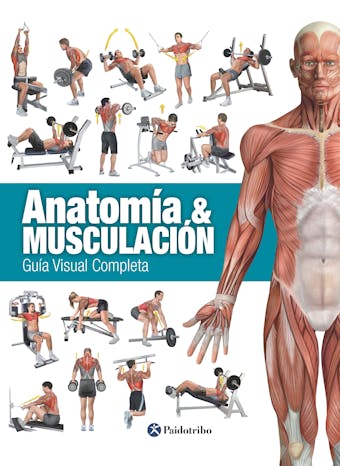 Anatomía & Musculación: Guía visual completa - Ricardo Cánovas Linares