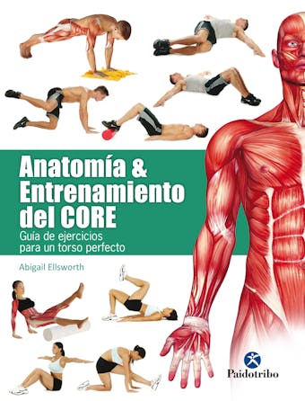 Anatomía y entrenamiento del core: Guía de ejercicios para un torso perfecto - Abigail Ellsworth