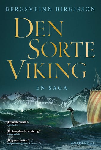 Den sorte viking: En saga