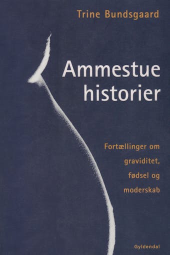 Ammestuehistorier: Fortællinger om graviditet, fødsel og moderskab - Trine Bundsgaard