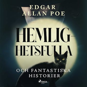 Hemlighetsfulla och fantastiska historier - Edgar Allan Poe