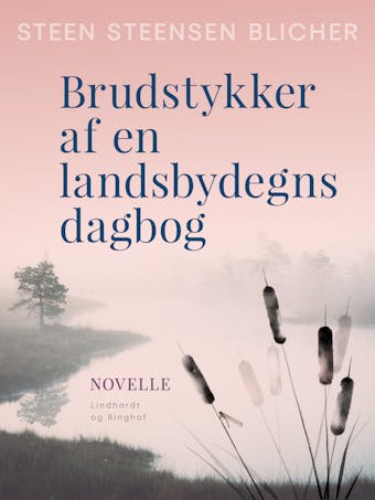 Steen Steensen Blicher Lydbøger & E-bøger