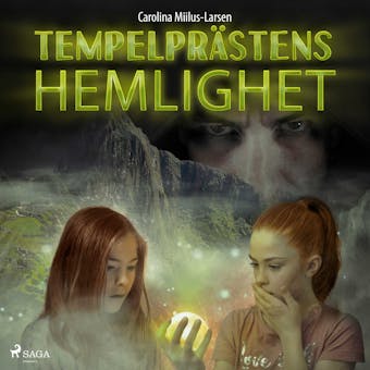 Tempelprästens hemlighet - Carolina Miilus-Larsen