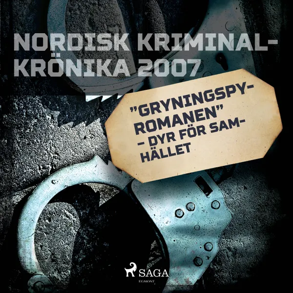"Gryningspyromanen" – dyr för samhället