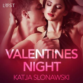 Valentine's Night - Erotic Short Story - undefined
