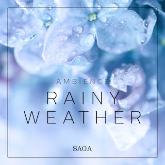 Ambience - Rainy Weather - undefined