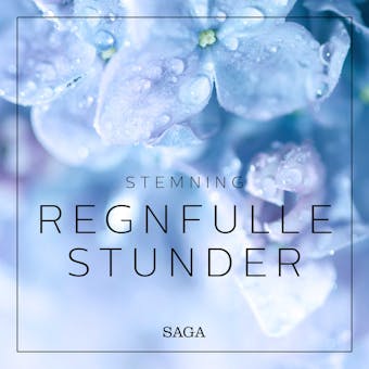 Stemning - Regnfulle stunder - Rasmus Broe