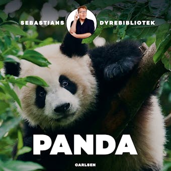 Sebastians dyrebibliotek: Panda - Sebastian Klein