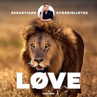 Sebastians dyrebibliotek: Løve - Sebastian Klein