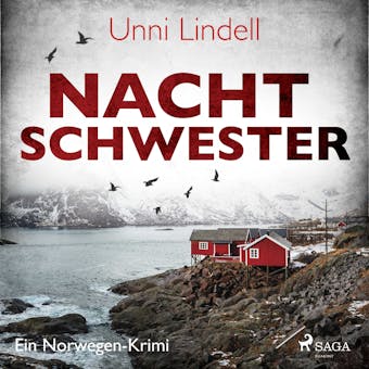 Nachtschwester - Ein Norwegen-Krimi - undefined