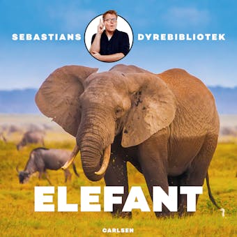 Sebastians dyrebibliotek - Elefant - Sebastian Klein