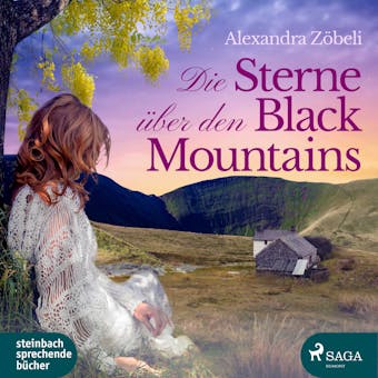 Die Sterne über den Black Mountains - undefined