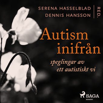 Autism inifrån: Speglingar av ett autistiskt vi - Dennis Hansson, Serena Hasselblad