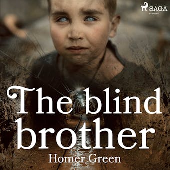 The Blind Brother - Homer Green