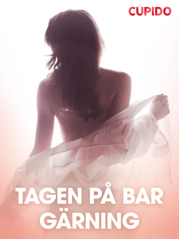 Tagen på bar gärning – erotiska noveller
