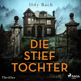 Die Stieftochter - Ildy Bach