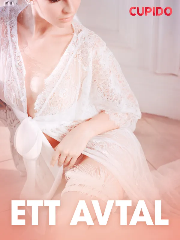 Ett avtal - erotiska noveller