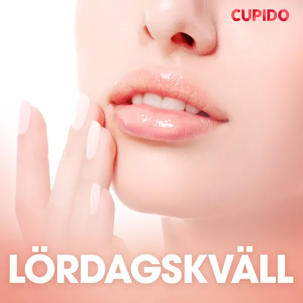 Lördagskväll - erotiska noveller