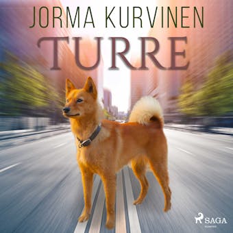 Turre - Jorma Kurvinen