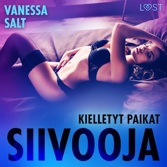 Kielletyt paikat: Siivooja - eroottinen novelli - Vanessa Salt