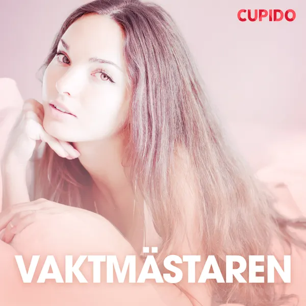 Vaktmästaren – erotiska noveller