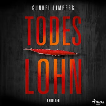 Todeslohn: Thriller - Gundel Limberg