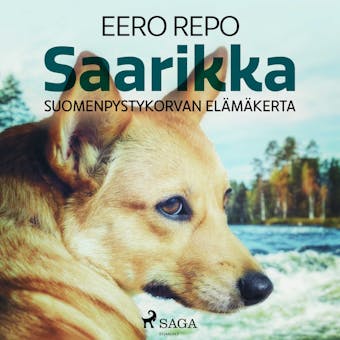 Saarikka - Eero Repo