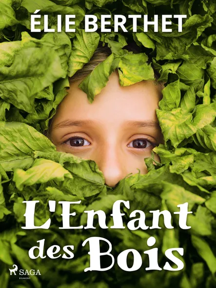 L'enfant Des Bois