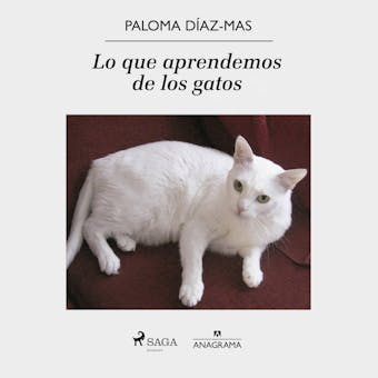 Lo que aprendemos de los gatos - Paloma Díaz-Mas