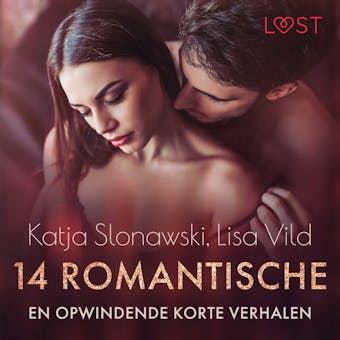 14 romantische en opwindende korte verhalen - een erotische verzameling - undefined