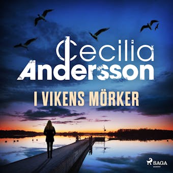 I vikens mörker - Cecilia Andersson
