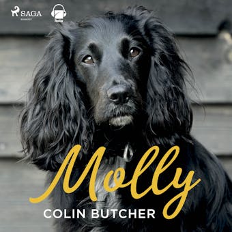 Molly - Collin Butcher