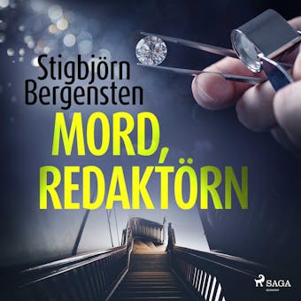 Mord, redaktörn - Stigbjörn Bergensten