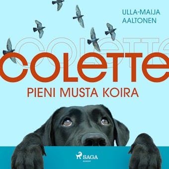 Colette, pieni musta koira - Ulla-Maija Aaltonen