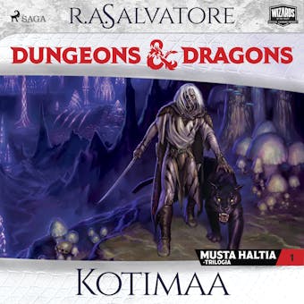 Dungeons & Dragons – Drizztin legenda: Kotimaa - R.A. Salvatore