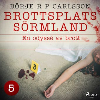 Brottsplats Sörmland. 5, En odyssé av brott - Börje R P Carlsson