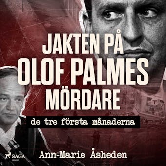 Jakten på Olof Palmes mördare - Ann-Marie Åsheden