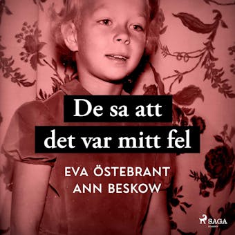 De sa att det var mitt fel - Eva Östebrant, Ann Beskow
