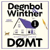 Omslag til Dømt