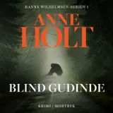 Omslag til Blind gudinde