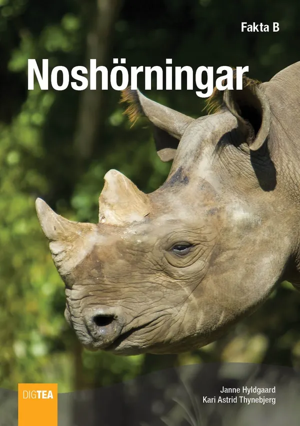 Noshörningar
