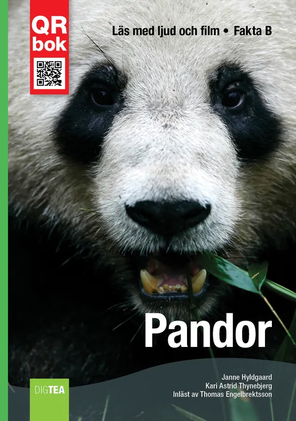 Pandor - Fakta B