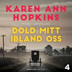 Mord i Amishland