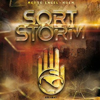 Sort storm - Mette Engel-Holm