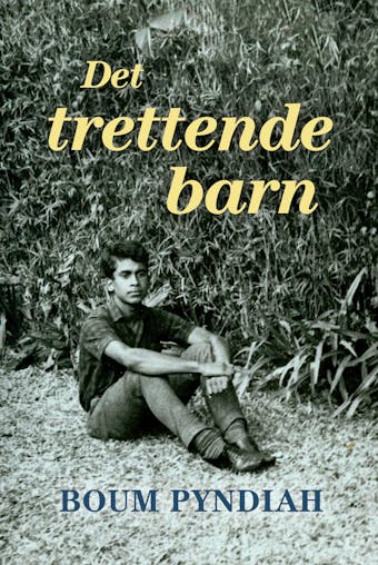Det trettende barn
